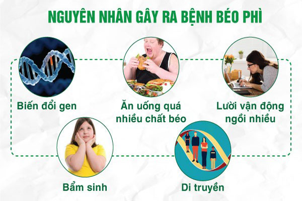 Nguyen nhan gay beo phi